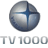 Логотип канала TV1000